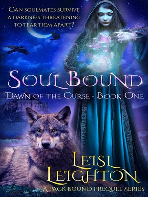 cover image of Soul Bound